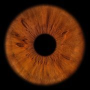 Terry - Страшный сон перфектциониста (демо)