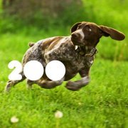 Ceephax - Castilian