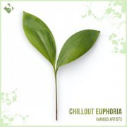 R.I.B. - Chillout Euphoria