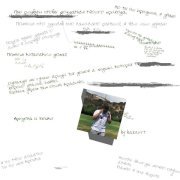 Badcurt - Аризона-бошки