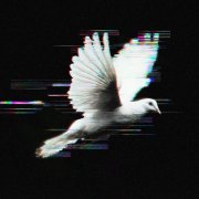 COLD WEST - Целься в сердце