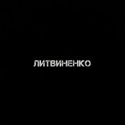 Литвиненко - Муза