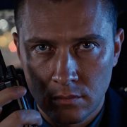 a8p4s - Совы над городом