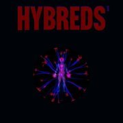 G.O Kings Bred - HYBREDS