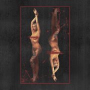 Соня Грезе, Найтивыход - Вверх-вниз