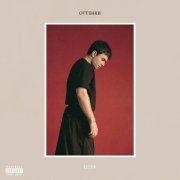 LIZER - Временно