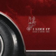 Alesso, Sentinel, Nate Smith - I Like It - Alesso & Sentinel Remix