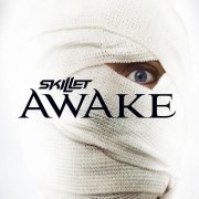 Skillet - One Day Too Late