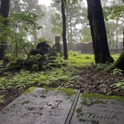 атрофия - поребрики