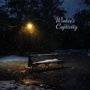 DJ Crownfy - Winter's Captivity (Chill Version)