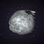 Дисперсия - Тебя больше нет