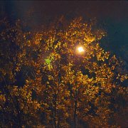 Plenka - поздней ночью