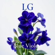 Lali Gordzamashvili - Blue Violets