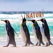 Blago White - VNATURI