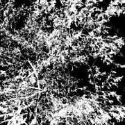 Silecut, Ineedrest - Поселок южный