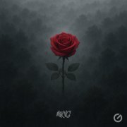 MKVG - Rose