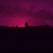 HOLLYFLAME - Розовый рассвет