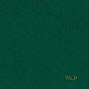 Dominik Eulberg - WALD