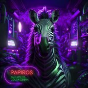 Color Zebra