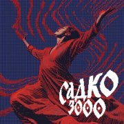 25/17 - Садко 3000