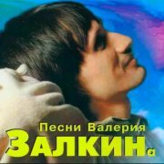 Валерий Залкин - Одинокая ветка сирени