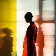 MVGMA - In the Dark