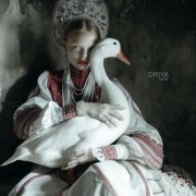 DRIYA - гуси