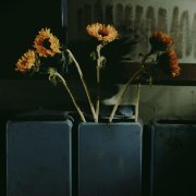 Варя, грей! - Не в порядке