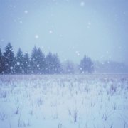 Moook - Hello, Winter!