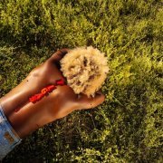 D Smoke, Reggie Becton - FAKE