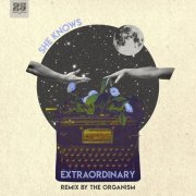 She Knows - Something To Save (The Organism Remix)