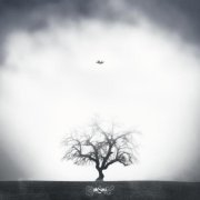 hatikoali - Заряженный