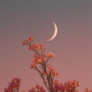 Nalsur - When We Were Happy