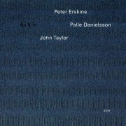 Peter Erskine, Palle Danielsson, John Taylor - The Lady In The Lake