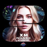 Xm, Nik&Bit - Good Liar