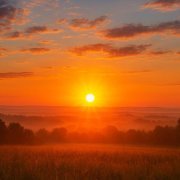 Голодный - людское