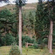 The Man The Myth The Meatslab - Lake Run Drive