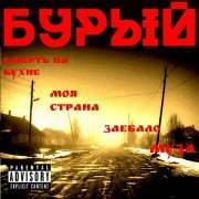 Николай Бурый - Бурый