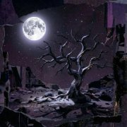 Tigerberry - Find the Way