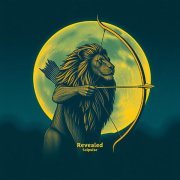 Solpulse - Silencer