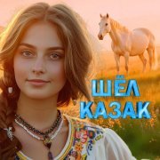 Валерий Семин - Шёл казак