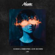 D.HASH, DIMESTRIX, ILYA SECHKIN - Like