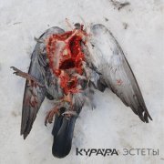 Курара - Будда (album mix)