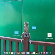 Группа Любовь, свет в окне - мем про обезьян