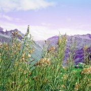 CHLOE (Thévenin), Vassilena Serafimova - Driveway