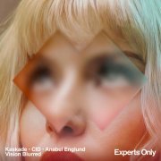 Kaskade, Cid, Anabel Englund - Vision Blurred
