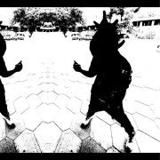 Lover - MONTE MARIE