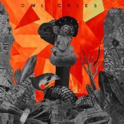 Owl Cries - Salt