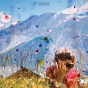 The Academy Is... - 2005