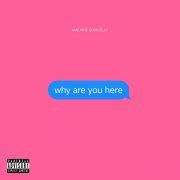 Machine Gun Kelly - why are you here